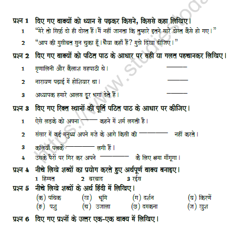 CBSE Class 8 Hindi Question Paper Set 1 Solved